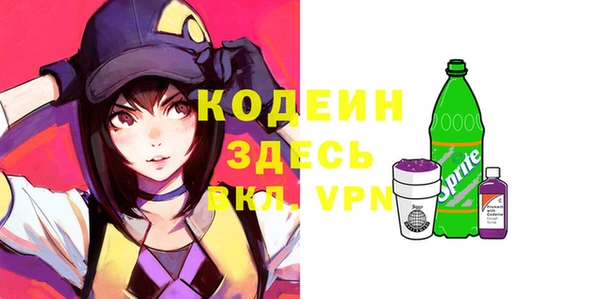 PSILOCYBIN Алзамай