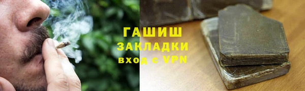 PSILOCYBIN Алзамай