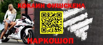 мдпв Камышлов