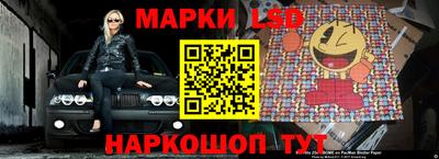 молекула духа Будённовск