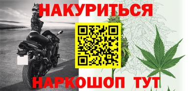 молекула духа Будённовск