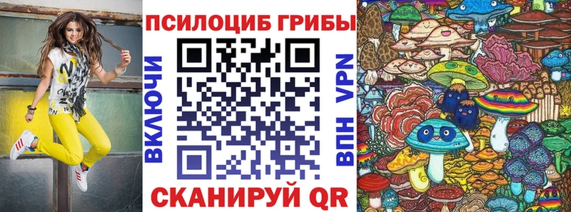 где можно купить   Крымск  Псилоцибиновые грибы MAGIC MUSHROOMS 